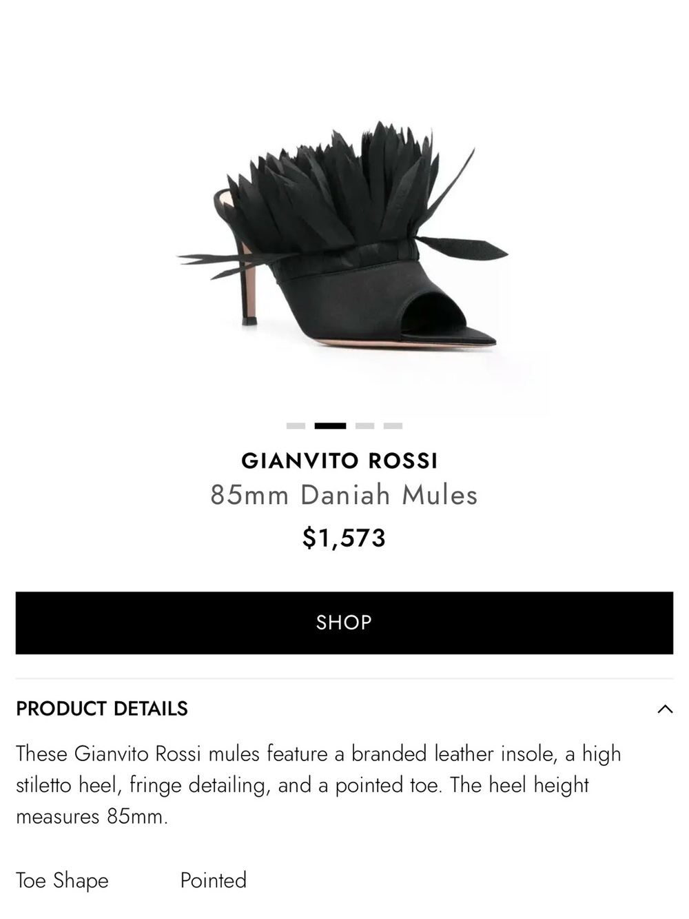 Gianvito Rossi Black Feathered 85mm Daniah Mules